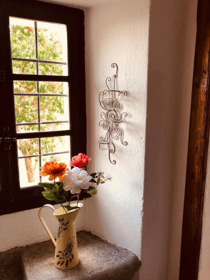 Casa Ruscada Βίλα Borgnone Εξωτερικό φωτογραφία